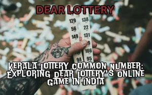kerala lottery common number
